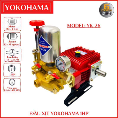 vn-11134207-7r98o-lsw7ap4johax2d-1780286984.jpg